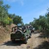 jeep safari 1